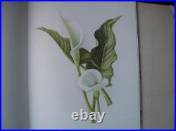 A BOOK OF WHITE FLOWERS Elizabeth Cameron 24 paintings limited edition 1980