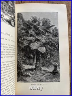 Antique leather bound book, Excellent condition. A lovely specimen