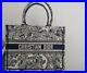CHRISTIAN-DIOR-BOOK-TOTE-LIMITED-EDITION-EMBROIDERED-COTTON-Bag-NEW-01-mfz