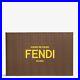 HAND-IN-HAND-FENDI-ROMA-Baguette-Book-25th-Anniversary-Limited-Edition-New-01-lkjq