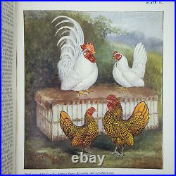 HICKS, J. Stephen The Encyclopaedia Of Poultry. 1923 Revised Edition