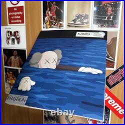 KAWS Catalog Book Published By Phaidon, Sought After by Kaws Collectors Rare