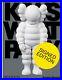 KAWS-SIGNED-EDITION-of-What-Party-Book-SOLD-OUT-Pre-Sale-Ships-late-June-01-ij