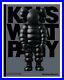 KAWS-What-Party-BLACK-Book-Limited-Edition-Beautiful-Book-Ready-To-Ship-01-mlr