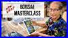 New-Book-Out-Bonsai-Masterclass-Limited-Edition-01-gu