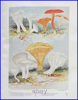 ONE THOUSAND AMERICAN FUNGI by CHARLES McILWAINE Ltd Ed AUTHOR SIGNED C 1900