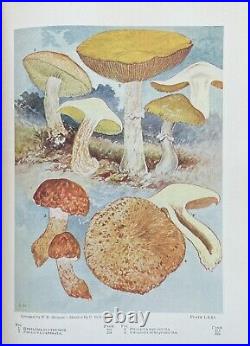 ONE THOUSAND AMERICAN FUNGI by CHARLES McILWAINE Ltd Ed AUTHOR SIGNED C 1900