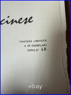 RARE Flavia Robinson Derossi Diario, Cinese Photography Book Italian (#40 of 47)