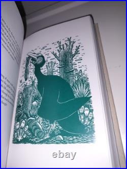 SIGNED Numbered Jeff VanderMeer Dead Astronauts Subterranean Press Hardcover