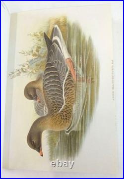 THE BIRDS OF GREAT BRITAIN (5 VOLUMES). Illus. By Gould, John