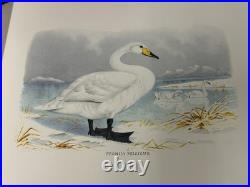 The Bird Paintings of Henry Jones Limited Edition Book 116/500 Rare Book
