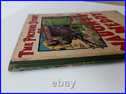 The Picture Story Of Naughty Neddy Rare Antique Childrens Book Rare Book
