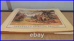 Thelwell's Sporting Prints by Thelwell Hardback Book The Cheap Fast Free Post