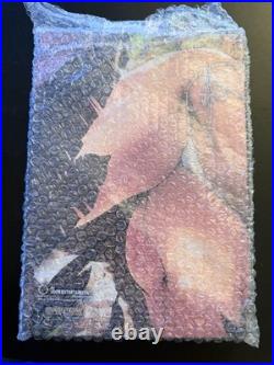 UDON The Art of Street Fighter Limited Edition Online Exclusive Art Book Poster