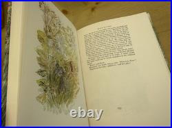 Watership Down Illustrated Edition Richard Adams Hardcover 1976 1st edition rare