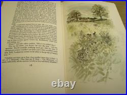 Watership Down Illustrated Edition Richard Adams Hardcover 1976 1st edition rare