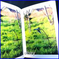 With Nail & I edited by Ryan McGinley for Cartier Photo Book Limited Edition